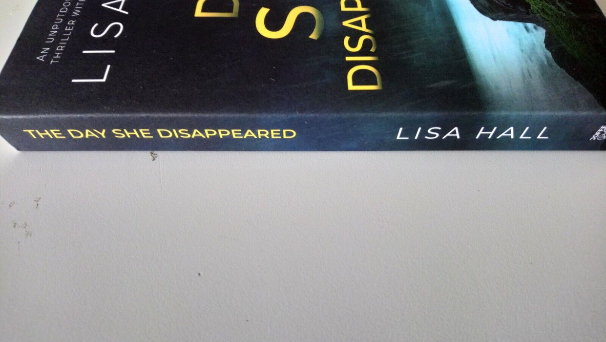 The Day She Disappeared by Lisa Hall