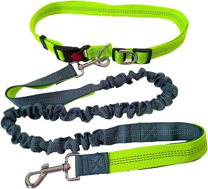 Lanney Dog running Leash - Green