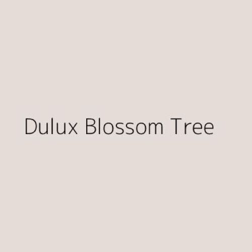 Dulux Colour Tester Blossom Tree, 30ml