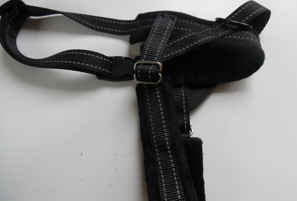 black dog harness size M with Lead