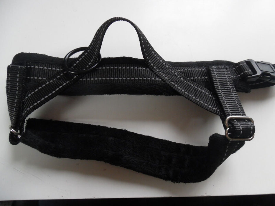 black dog harness size M with Lead